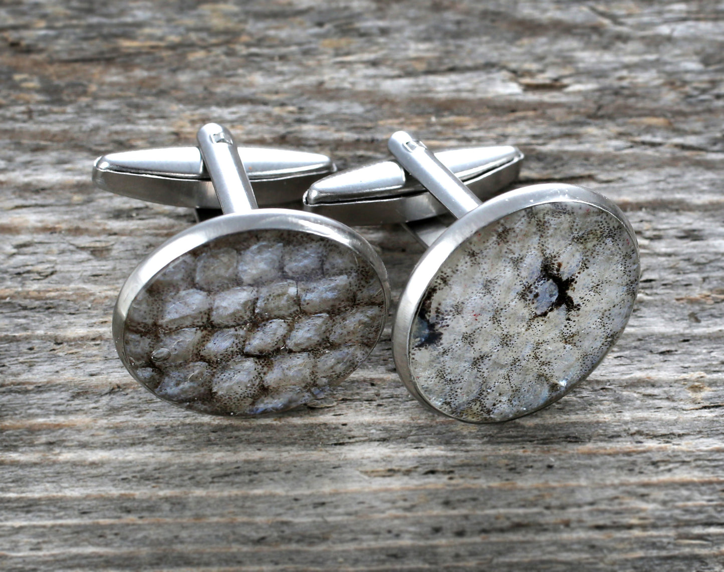 Sea trout- cufflinks